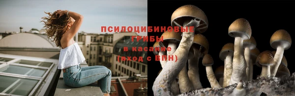 стафф Сафоново