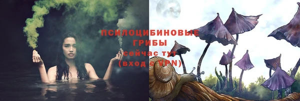 индика Балахна