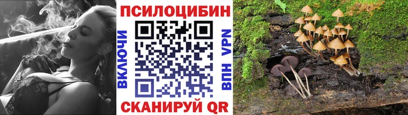 MEGA как войти  Урай  Псилоцибиновые грибы Psilocybine cubensis 